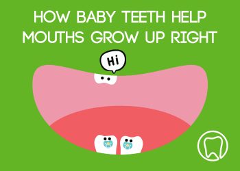 Brooklyn dentists at Park Slope Dental Arts discuss the importance of baby teeth in setting the stage for good oral health later in life.