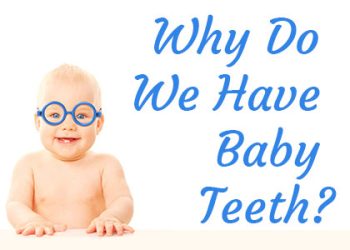 Brooklyn dentists at Park Slope Dental Arts discuss the reasons why we have baby teeth and the importance of caring for them with pediatric dentistry.