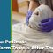 Why Our Patients Love Warm Towels After Their Visit (featured image)
